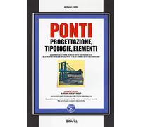 Ponti. Progettazione, tipologie, elementi. Con software