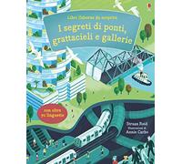 Ponti, torri e gallerie. Libri da scoprire. Ediz. a colori