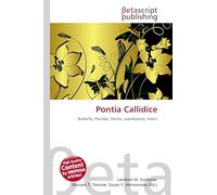 Pontia Callidice: Butterfly, Pieridae, Pontia, Lepidoptera, Insect