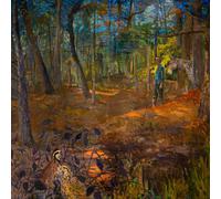 Pony Bradshaw Thus Spoke The Fool (CD)