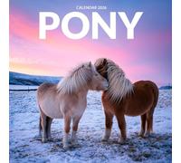 Pony Horses 2026 Calendar: Adorable Ponies and Equestrian Beauty