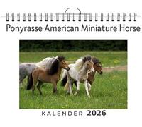 Ponyrasse American Miniature Horse: (Wandkalender 2026, Kalender DIN A4 quer, Monatskalender im Querformat mit Kalendarium, das perfekte Geschenk)