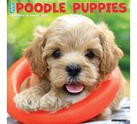 Poodle Puppies 2027 Wall