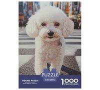 Poodle Puzzle Da 1000 Pezzi Per Adulti E Ragazzi Animal Jigsaw Multicolore Collezione D'arte Idea Regalo Uomo E Donna Stampa Di Alta Qualità 52x38cm/1000pcs