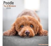 Poodle (Toy & Miniature) Calendar 2026 Square Dog Breed Wall Calendar - 16 Month