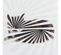 Poor Aim: Love Songs