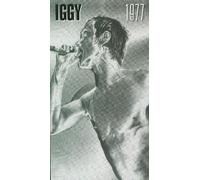 Pop,Iggy - 1977 (4 CD Box Set)