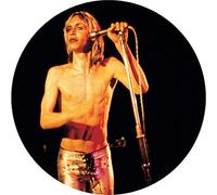 Pop Iggy & The Stooges - More Power (Picture Disc)