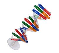 POPETPOP 1 set Dna Doppia per Insegnamento Didattico per Kit Educativo per Comprendere La Struttura Del Dna Sussidio Didattico per Scienze Biologiche Colore Casuale Colore Casuale