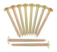 POPETPOP 10 chiodi da per prato, inserti per limite di terreno, strumento di fissaggio per paesaggi zincati, impilamento di legno, chiodo, in acciaio inox