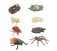 POPETPOP 2 set Modelli Animali Imitazione Ciclo Insetti in Plastica Kit Educativo per Sicuri e Leggeri Scientifico per Ragazzi e Ragazze