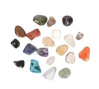 POPETPOP 20 pezzi Pietre Lucidate e Minerali Naturali con Scatola Collezione di Rocce Educative per Campione di Gemme per Studio Geografia e Natura