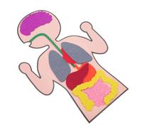 POPETPOP 3 set Modelli di Organi Umani Kit DIY Educativo per Gioco Cognitivo e Didattico per Apprendimento Manuale e Sviluppo