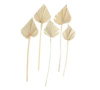 POPETPOP 5 pezzi Foglie di Palma Secche Naturali Decorazioni Festa Matrimonio Boho da Vaso per Interni ed Esterni Facili da Curare per Atmosfera Festiva Unica