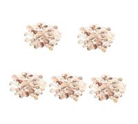 POPETPOP 5pezzi Decorative Shell Ornaments for Aquariums Natural Seashells for Crafting And Home Decor DIY Projects And Fish Tank Enhancements