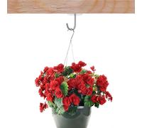 POPETPOP 6 pezzi Ganci da Soffitto in Acciaio Inox Ganci Pensili Resistenti per Cucina e Decorazioni Montaggio Vite per Lampade Tazze e Oggetti Leggeri Uso Interno ed Esterno