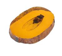 POPETPOP Ciondolo D’ambra Artificiale Insetti, Giallo, Elegante | Ornamento Creativo e Delicato, per Regalo o Decorazione, Forma Unica, Stile Vivace, per Famiglia e Amici