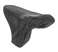 POPETPOP Decorazione di Simulazione Dente di Megalodonte Fossile in Resina per Arredo Casa e Kit Didattico di Scavo Paleontologico per Appassionati