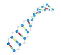POPETPOP Dna Doppia Kit Didattico Scientifico Autocostruibile per Studenti Strumento Educativo Biologia e Genetica Visualizzazione e Rotante