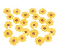 POPETPOP Fiori Secchi Naturali Margherita 24 Pezzi 2,5-4 CM per Scrapbooking Fai da Te Decorazioni Custodie Cellulari Nail Art Segnalibri Artigianato Creativo