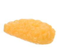 POPETPOP Modello Anatomico di Grasso Umano Realistico Strumento di Anatomia Clinica del Tessuto Adiposo Ausilio Didattico Portatile per Nutrizionisti e Appassionati di Fitness