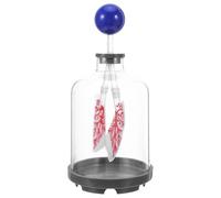 POPETPOP Modello Polmonare Dimostrativo Simulatore di Movimento Diaframma, Modello di Meccanica Respiratoria per Laboratorio Scientifico Scolastico, Kit Didattico Portatile per