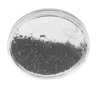 POPETPOP Polvere di Ferro Magnetica in Scatola Trasparente per Kit di Scienze Elettromagnetismo Strumento Didattico Resistente per Esperimenti Scientifici in Aula