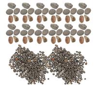 POPETPOP Sassi Decorativi Naturali per Miniature e Micro Paesaggi Ghiaia per Acquari e Tavoli di Sabbia Sacchetto per Diorama e Decorazione Giardino in Miniatura