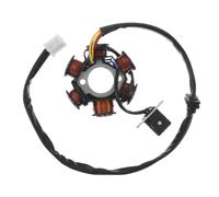 POPETPOP Statore Accensione Bobina, Gruppo Statore 6 Bobine in Rame per Scooter, Ciclomotore, Atv e Quad 50-150cc, Conversione Energetica Efficiente per Fuoristrada