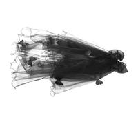 POPETPOP Velo da Sposa Vampiro in Tulle Nero Leggero Copricapo Velo da Donna per Halloween e Addio al Nubilato Accessorio Costume Gotico Stile Cattedrale Taglia Unica Comoda e