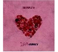 Popguns - Love Junky by Popguns