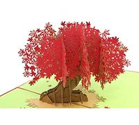 PopLife Cards Albero autunnale autunnale cartolina pop up 3d per tutte le occasioni - viaggiatori, romantici, amanti delle pergole - pieghe piatte per la spedizione - compleanno, laurea, guarire, ann
