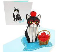 PopLife Cards Cartolina d'auguri pop up di gatto giocoso Cartolina d'auguri pop-up 3d - carta di amante gatto, carta di insegnante, carta di bambini divertenti - pieghe piatte per mailing - carta di