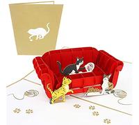 PopLife Cards I gatti che giocano sul divano pop-up biglietto di auguri