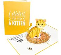 PopLife Gattino Divertente Pop Up Carta - Carta Amante dei Gatti per Tutte le Occasioni - Festa della Mamma, Festa del Papà, Regalo Veterinario - Buon Compleanno, Solo Perché, Guarisci