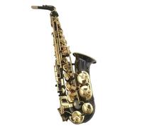 Popolare Sassofono Contralto E Strumento Musicale Con Custodia E Tutti Gli Accessori(Bag A)