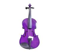 Popolare Violino In Legno Massello Per Principianti, Pratica Per Adulti Che Suona Il Violino 4/4 Strumento Per Violino A Grandezza Naturale (Color : Purple)