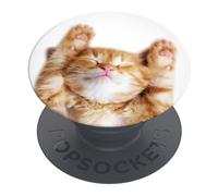 PopSockets | PopGrip | Supporto estraibile e maniglia per smartphone e tablet | Supporto per dita Basic Snoozy Cat