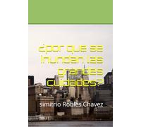 ¿por que nos inundamos las grandes ciudades?