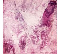 Porcelain Raft - Strange Weekend