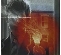 Porcupine Tree - Lightbulb Sun (2 LP)