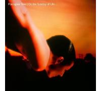 Porcupine Tree - On the Sunday of Life