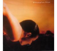 Porcupine Tree - On the Sunday of Life