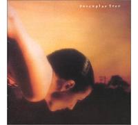 Porcupine Tree - On the Sunday of Life...