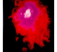 Porcupine Tree – Up the Downstair – Vinile 2 LP – Kscope