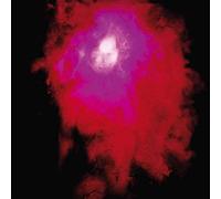Porcupine Tree - Up the Downstair (2 LP)