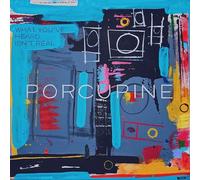 Porcupine What You've Heard Isn't Real (Vinyl LP) 12" Album