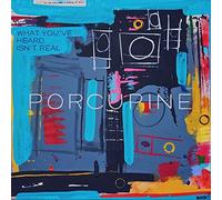 Porcupine - WHAT YOU'VE HEARD ISN'T..