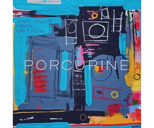 Porcupine - What You've Heard Isn't Real