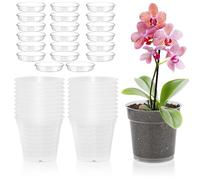 PORFOYO Vaso per orchidee, 20 pezzi, trasparente, 11,5 cm, per orchidee e in plastica, per piante in miniatura, per interni ed esterni